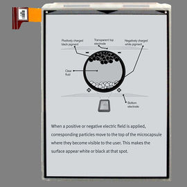 Mua PVI EPD 7.8 Inch E Paper Display Module, 1404 * 1872 Pixels Khung hiển thị giấy kỹ thuật số online manufacture